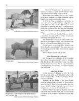 Page 50 of Horses, Harness and Homesteads - The History of Draft Horses in Saskatchewan