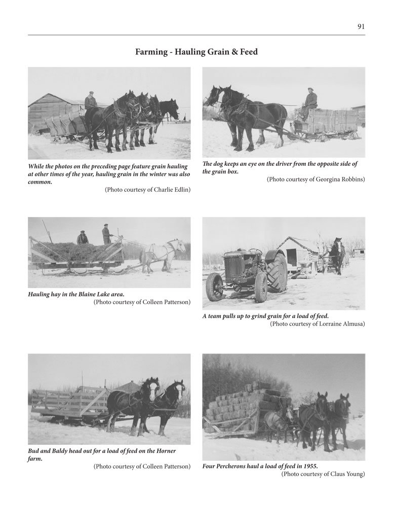 Page 91 of Horses, Harness and Homesteads