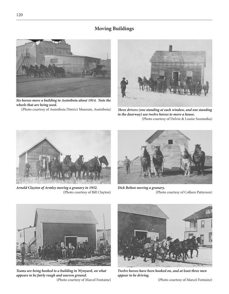 Page 120 of Horses, Harness and Homesteads