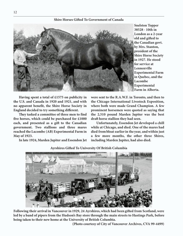 The Clippity-Clop Chronicle - August 2025 - Page 12