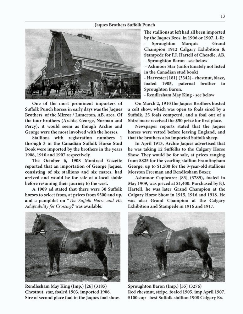 The Clippity-Clop Chronicle - August 2025 - Page 13