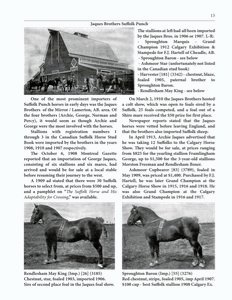 The Clippity-Clop Chronicle - August 2025 - Page 13