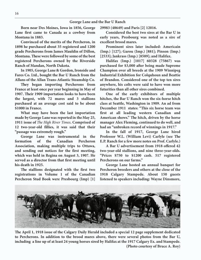 The Clippity-Clop Chronicle - August 2025 - Page 16