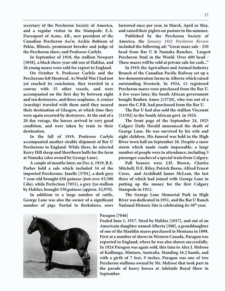 The Clippity-Clop Chronicle - August 2025 - Page 17