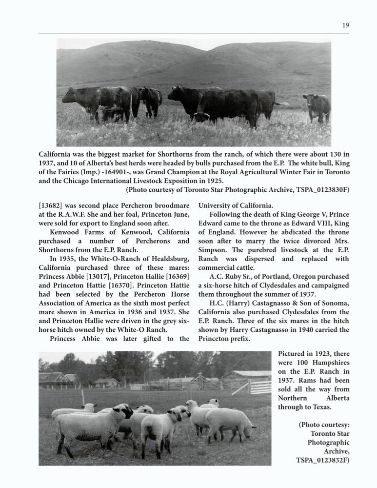 The Clippity-Clop Chronicle - August 2025 - Page 19