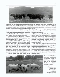 The Clippity-Clop Chronicle - August 2025 - Page 19