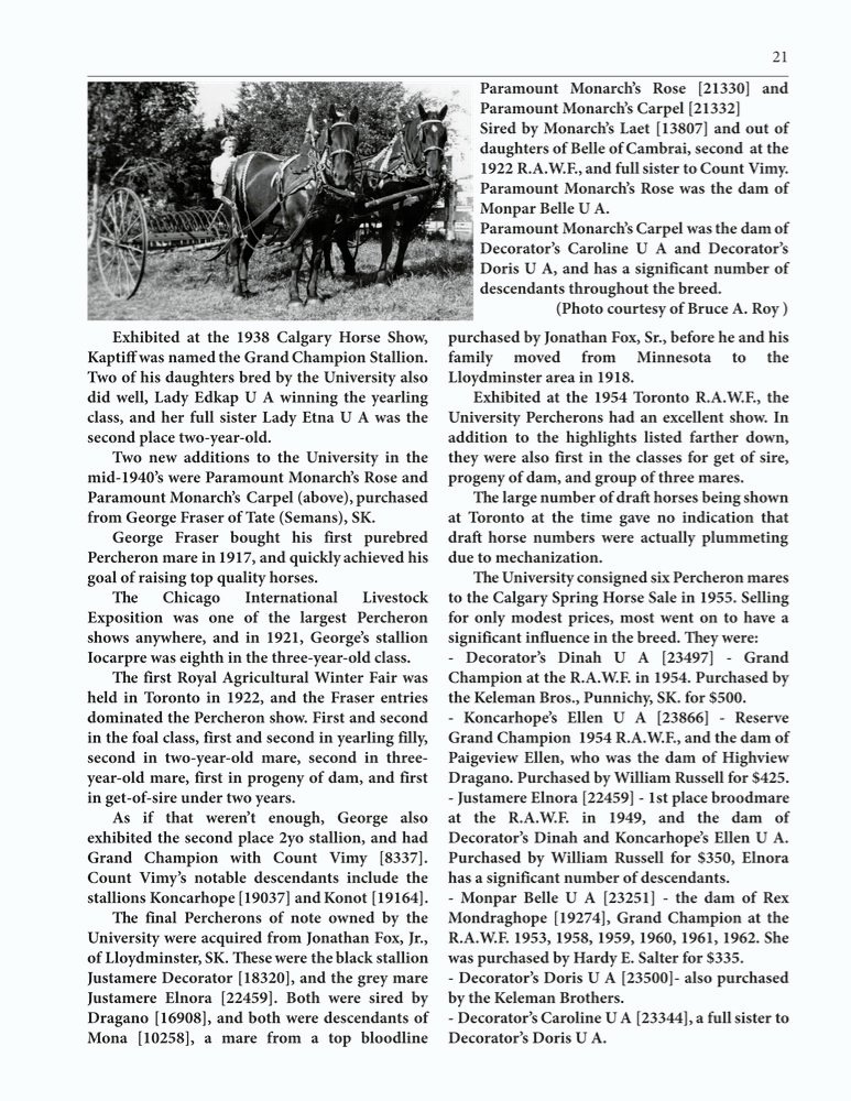 The Clippity-Clop Chronicle - August 2025 - Page 21