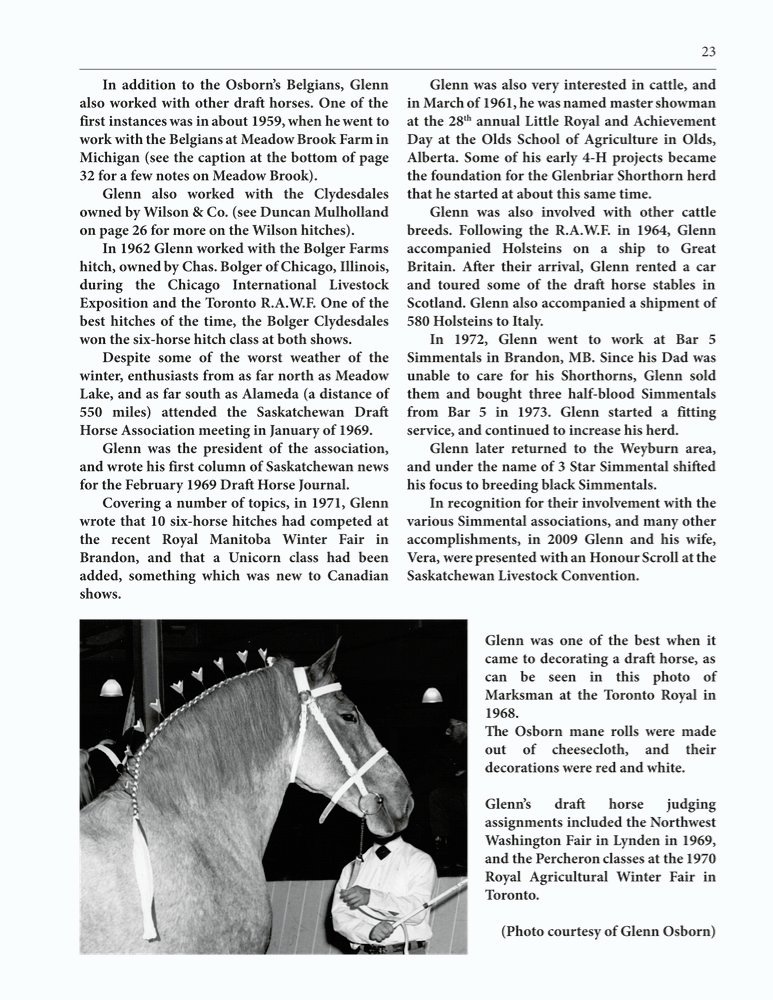 The Clippity-Clop Chronicle - August 2025 - Page 23