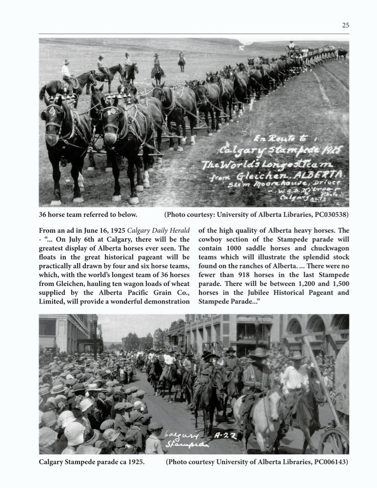 The Clippity-Clop Chronicle - August 2025 - Page 25