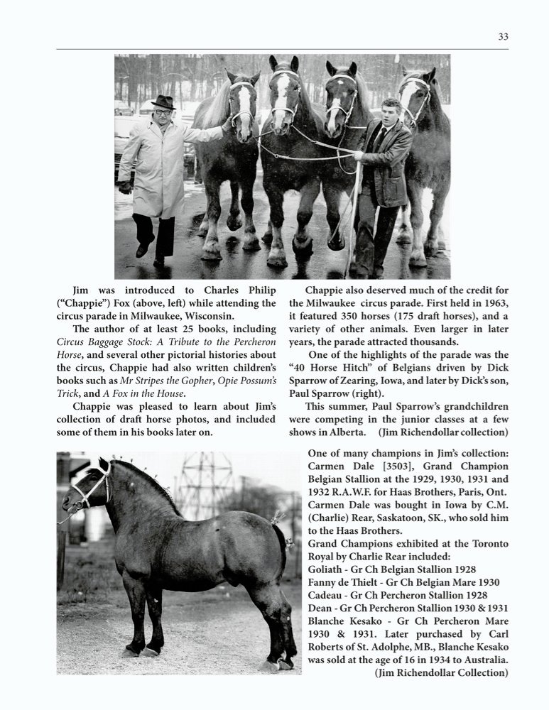 The Clippity-Clop Chronicle - August 2025 - Page 33