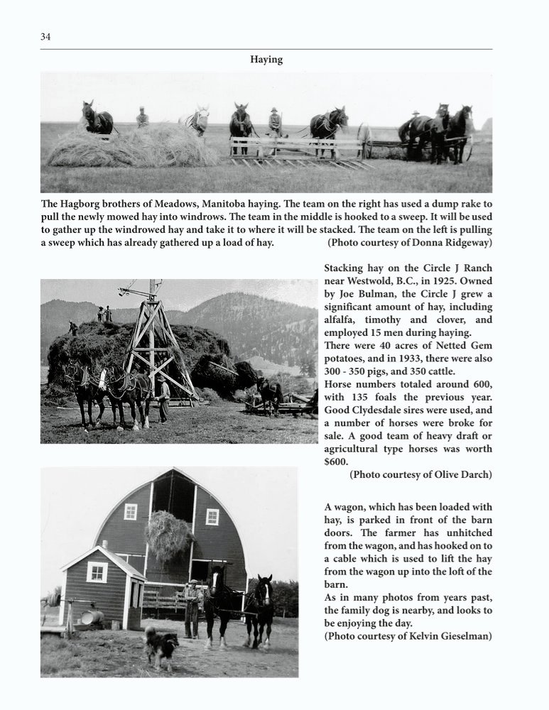 The Clippity-Clop Chronicle - August 2025 - Page 34