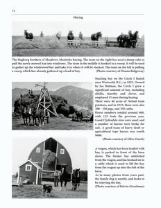 The Clippity-Clop Chronicle - August 2025 - Page 34