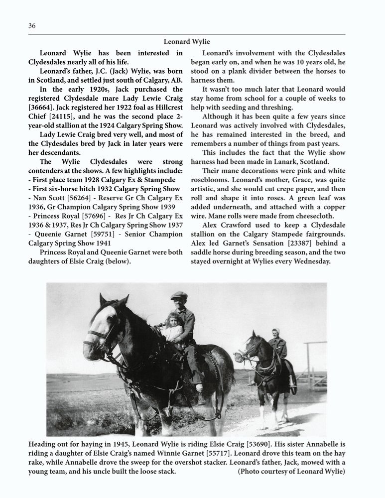 The Clippity-Clop Chronicle - August 2025 - Page 36