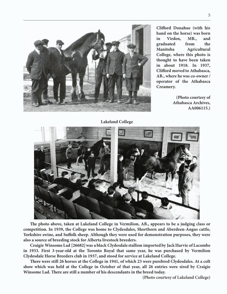 The Clippity-Clop Chronicle - August 2025 - Page 5