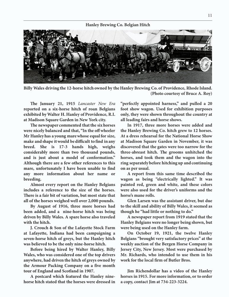 The Clippity-Clop Chronicle - October 2025 - Page 11