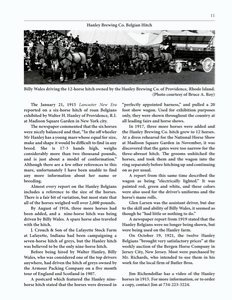 The Clippity-Clop Chronicle - October 2025 - Page 11