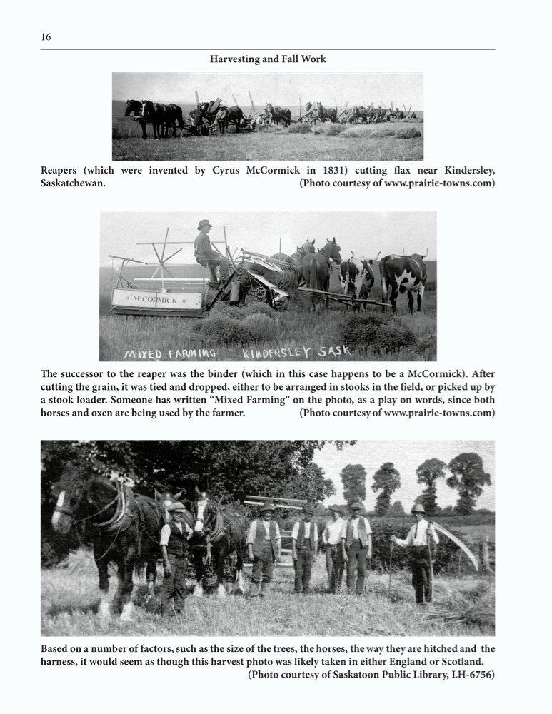 The Clippity-Clop Chronicle - October 2025 - Page 16