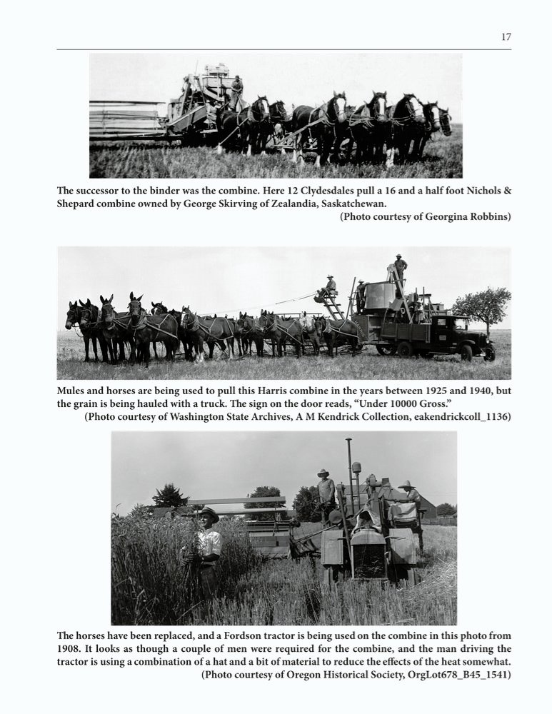 The Clippity-Clop Chronicle - October 2025 - Page 17