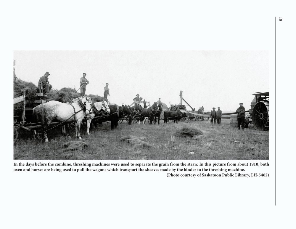 The Clippity-Clop Chronicle - October 2025 - Page 18