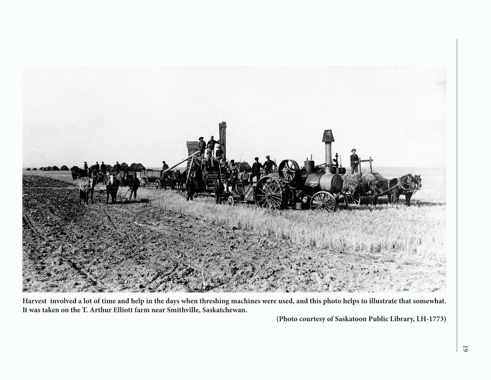 The Clippity-Clop Chronicle - October 2025 - Page 19