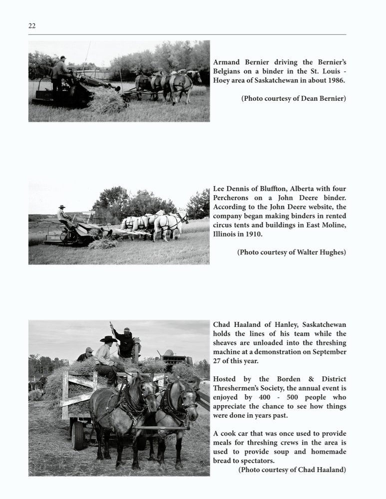 The Clippity-Clop Chronicle - October 2025 - Page 22