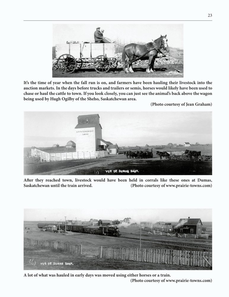 The Clippity-Clop Chronicle - October 2025 - Page 23