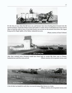 The Clippity-Clop Chronicle - October 2025 - Page 23