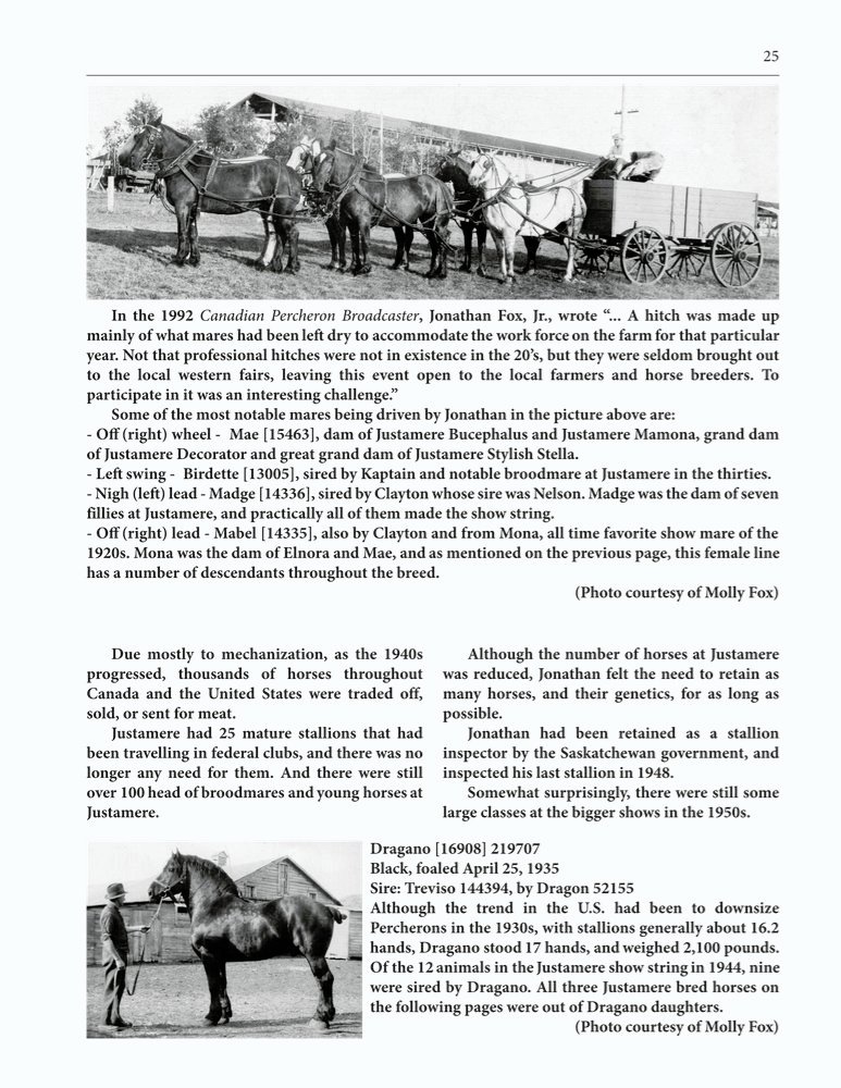 The Clippity-Clop Chronicle - October 2025 - Page 25