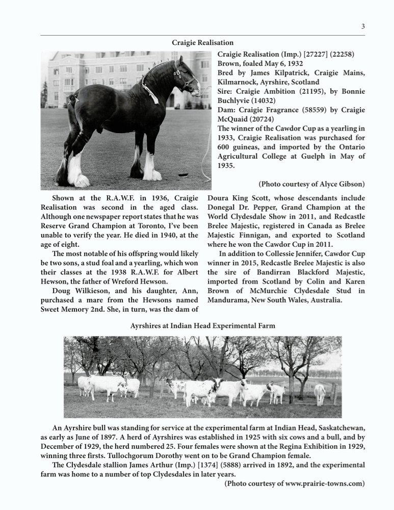 The Clippity-Clop Chronicle - October 2025 - Page 3