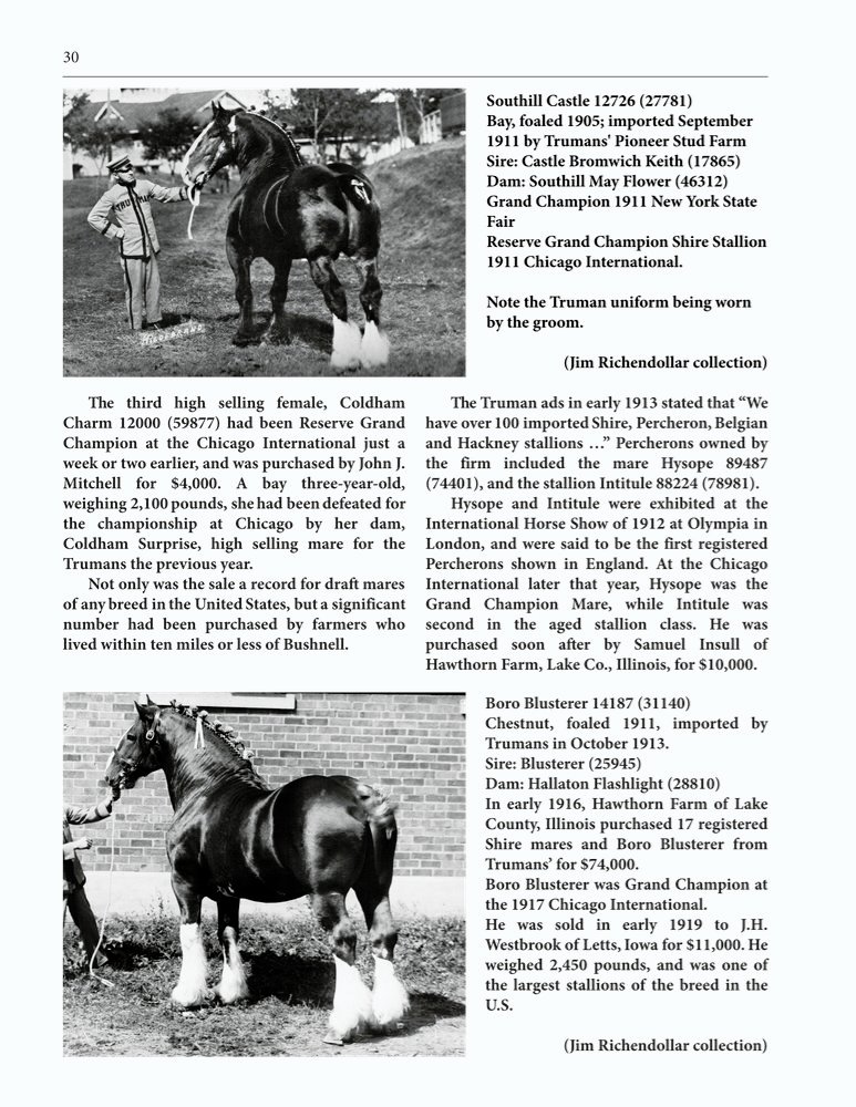 The Clippity-Clop Chronicle - October 2025 - Page 30