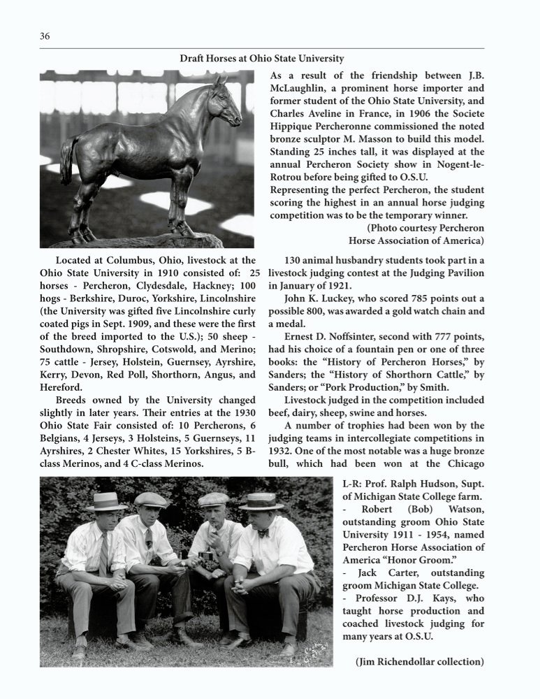 The Clippity-Clop Chronicle - October 2025 - Page 36