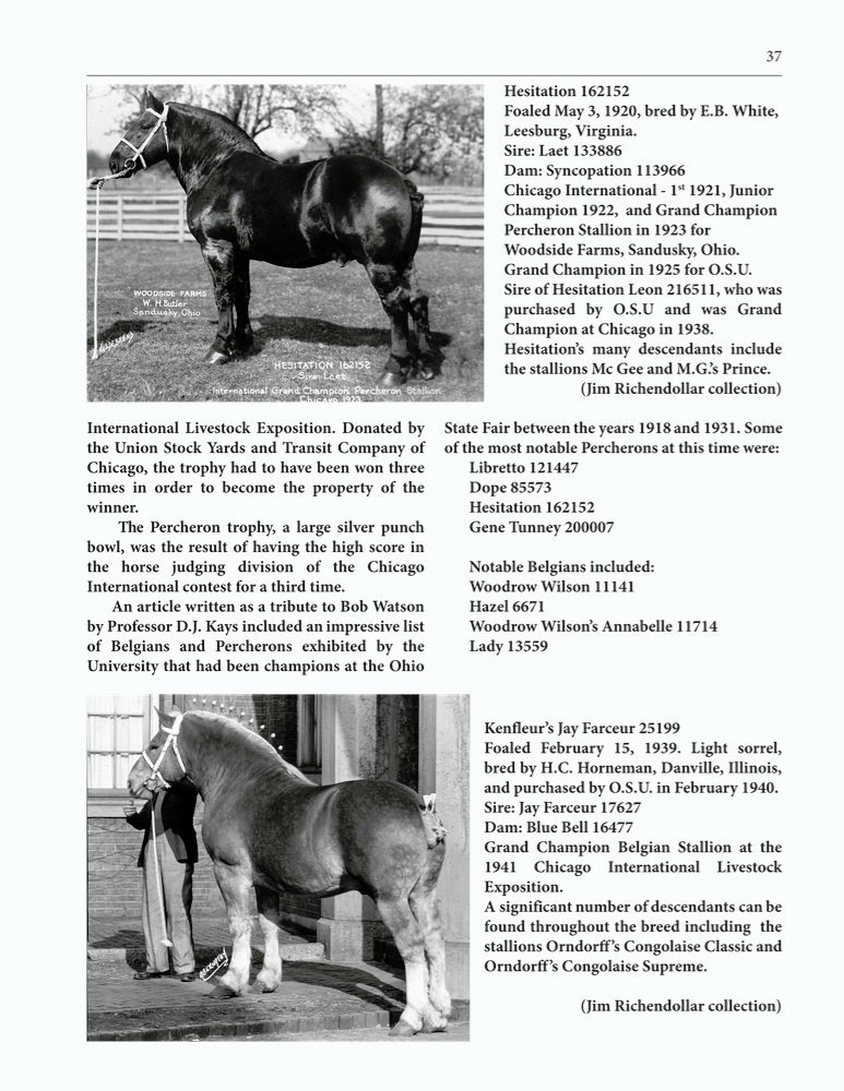 The Clippity-Clop Chronicle - October 2025 - Page 37