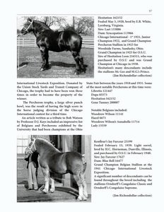 The Clippity-Clop Chronicle - October 2025 - Page 37