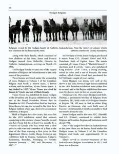 The Clippity-Clop Chronicle - October 2025 - Page 38