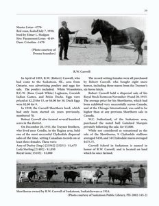 The Clippity-Clop Chronicle - October 2025 - Page 39