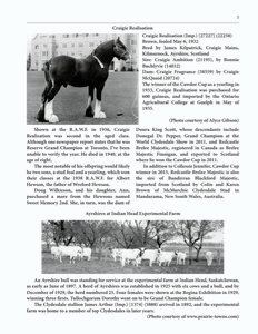 The Clippity-Clop Chronicle - October 2025 - Page 3