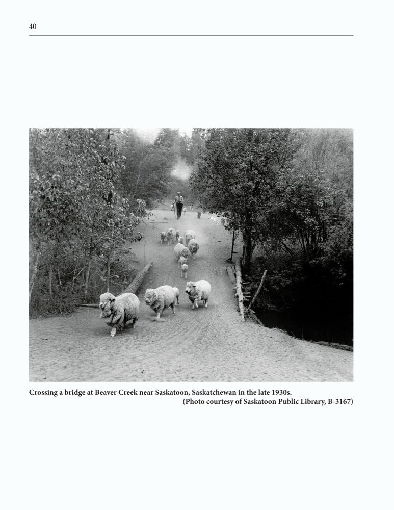 The Clippity-Clop Chronicle - October 2025 - Page 40