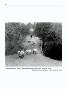 The Clippity-Clop Chronicle - October 2025 - Page 40