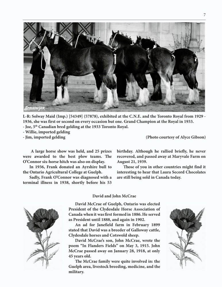 The Clippity-Clop Chronicle - October 2025 - Page 7