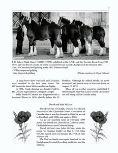 The Clippity-Clop Chronicle - October 2025 - Page 7