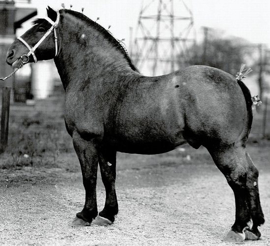 Photo from the Richendollar Collection